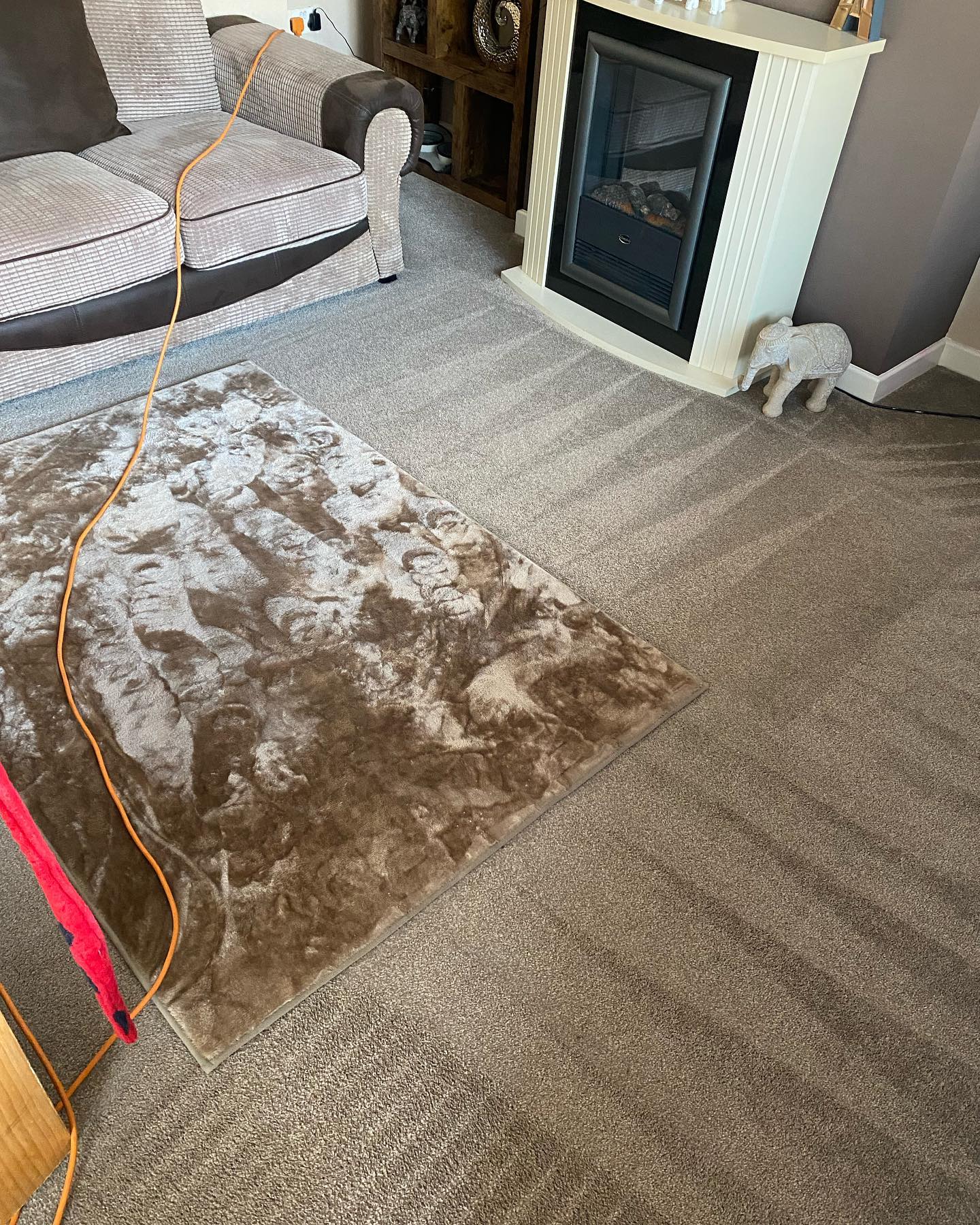 carpet and rug clean