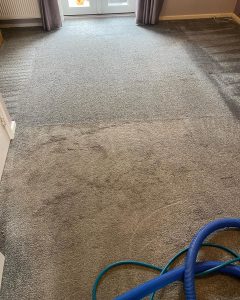 carpet clean