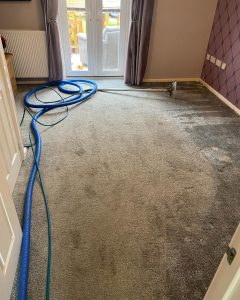 carpet cleaning