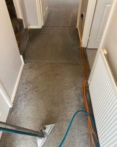 Hallway carpet clean