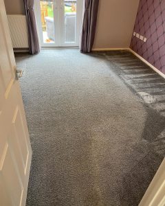 bedroom carpet clean