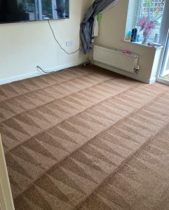 carpet cleaning