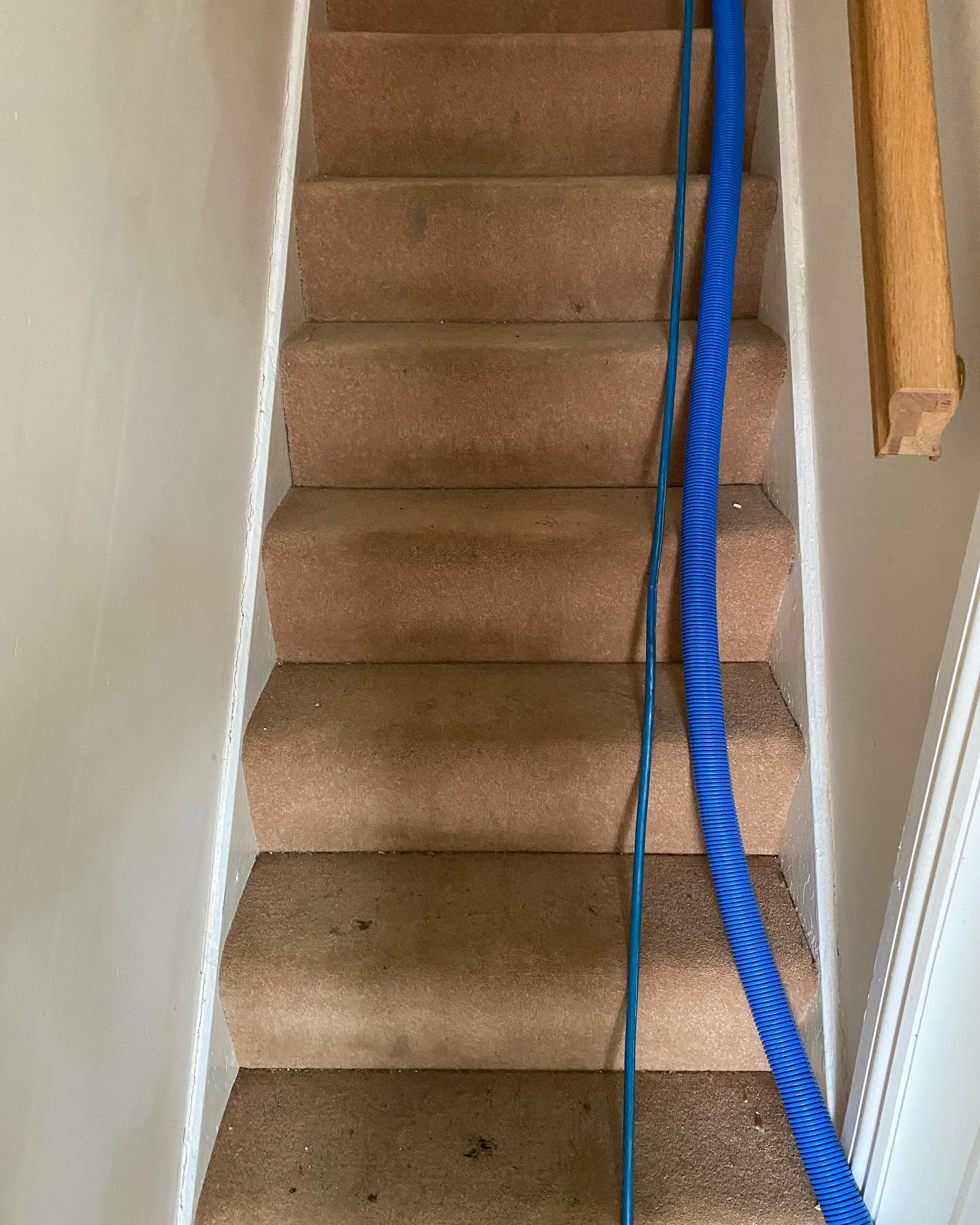 stairway carpet clean