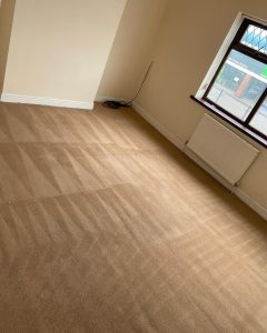 bedroom carpet clean