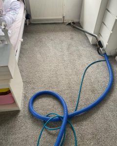 carpet cleaning