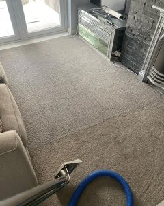 carpet cleaning