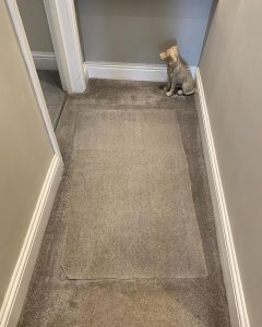 carpet clean