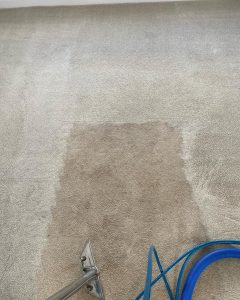 carpet clean