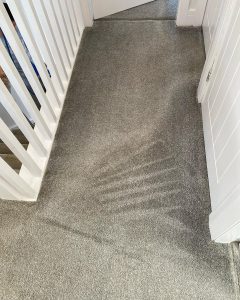 carpet clean