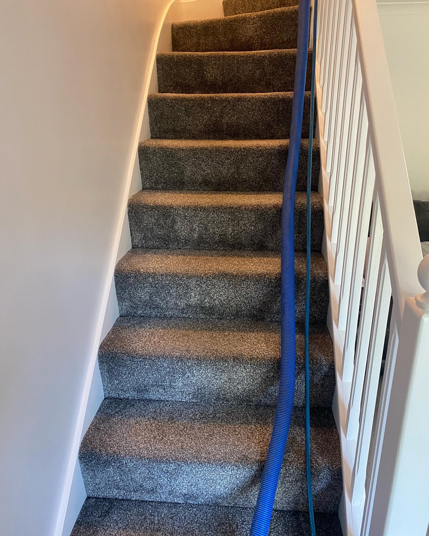 stairs carpet clean